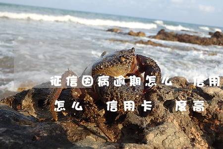 征信因病逾期怎么辦信用卡-征信因病逾期怎么辦信用卡額度高