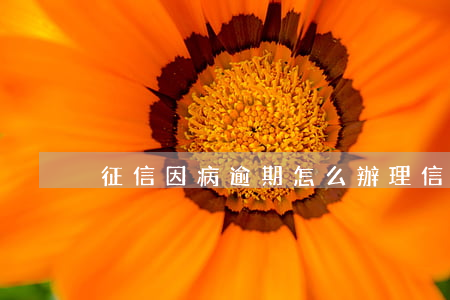 征信因病逾期怎么辦理信用卡