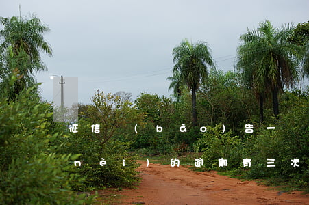 征信報(bào)告一個(gè)月以內(nèi)的逾期有三次-征信報(bào)告一個(gè)月以內(nèi)的逾期有三次怎么辦