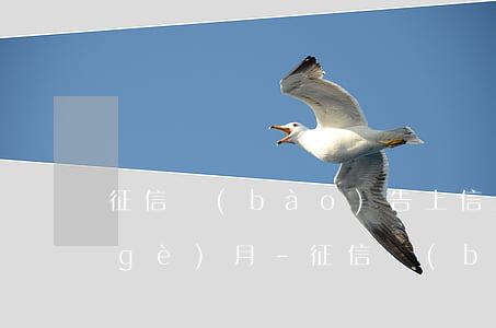 征信報(bào)告上信用卡逾期26個(gè)月-征信報(bào)告上信用卡逾期26個(gè)月怎么辦
