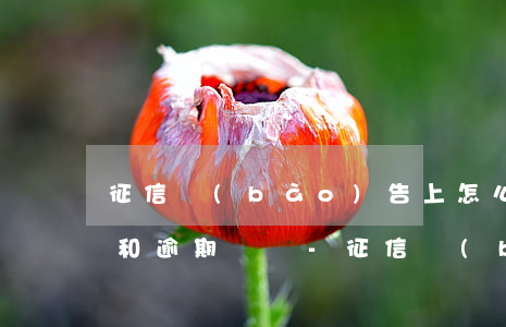 征信報(bào)告上怎么看負(fù)債和逾期總額-征信報(bào)告上怎么看負(fù)債和逾期總額呢