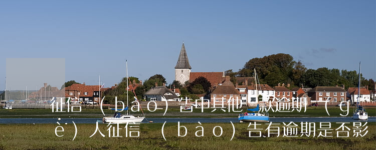 征信報(bào)告中其他貸款逾期(個(gè)人征信報(bào)告有逾期是否影響貸款)