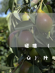 征信報(bào)告中最高逾期次數(shù)什么意思-征信報(bào)告中最高逾期次數(shù)什么意思啊