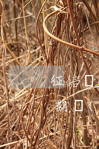 征信報(bào)告五年內(nèi)有逾期會(huì)怎么樣-