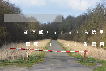 征信報(bào)告信用卡五年逾期6次 征信報(bào)告信用卡五年逾期6次