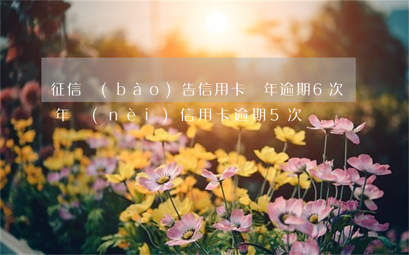 征信報(bào)告信用卡兩年逾期6次 兩年內(nèi)信用卡逾期5次