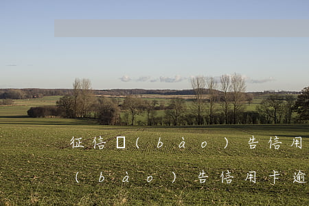征信報(bào)告信用卡逾期2次(征信報(bào)告信用卡逾期2次)