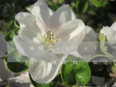 征信報(bào)告可以看到什么時(shí)候逾期-征信報(bào)告可以看到什么時(shí)候逾期記錄