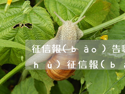 征信報(bào)告哪里顯示逾期次數(shù)（征信報(bào)告有15個(gè)逾期賬號）
