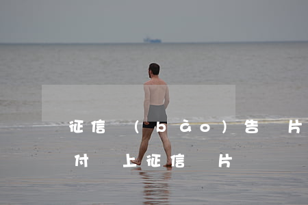 征信報(bào)告圖片支付寶逾期圖片(支付寶上征信圖片)