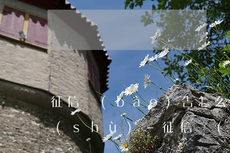 征信報(bào)告怎么查看具體逾期錢數(shù)-征信報(bào)告怎么查看具體逾期錢數(shù)多少