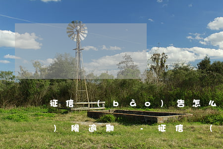 征信報(bào)告怎么看什么時(shí)候逾期過-征信報(bào)告怎么看什么時(shí)候逾期過的