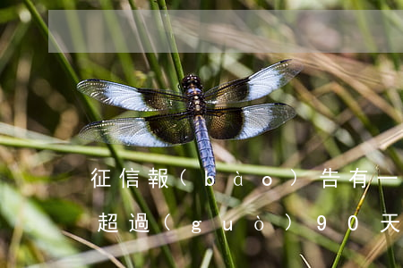 征信報(bào)告有一個(gè)月逾期超過(guò)90天-征信報(bào)告有一個(gè)月逾期超過(guò)90天怎么辦
