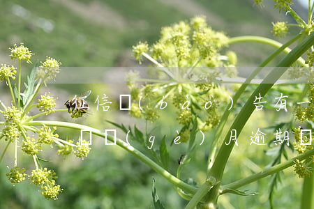 征信報(bào)告有一項(xiàng)兩個(gè)月逾期記錄-征信報(bào)告有一項(xiàng)兩個(gè)月逾期記錄怎么消除