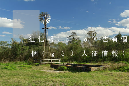 征信報(bào)告有個(gè)信貸逾期(個(gè)人征信報(bào)告有一個(gè)逾期)