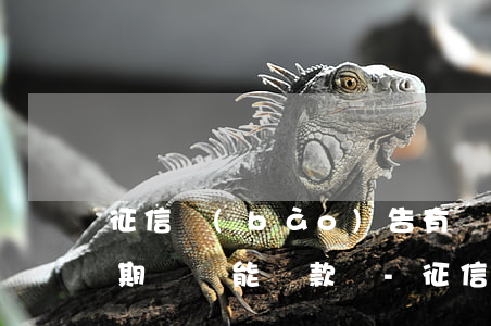 征信報(bào)告有網(wǎng)貸逾期記錄能貸款嗎-征信報(bào)告有網(wǎng)貸逾期記錄能貸款嗎知乎