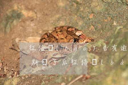 征信報(bào)告有逾期怎么還款(貸款逾期還了后征信報(bào)告有問題嗎)
