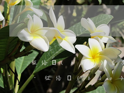 征信報(bào)告有逾期記錄影響貸款嗎-征信報(bào)告有逾期記錄影響貸款嗎?