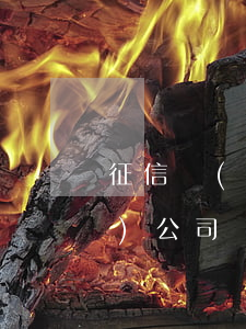 征信報(bào)告沒有逾期能進(jìn)公司嗎
