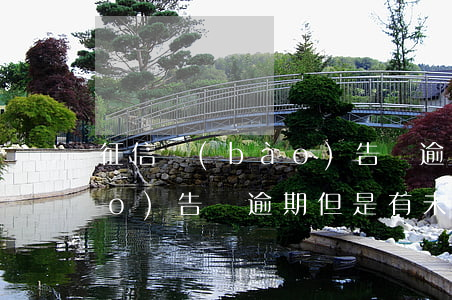 征信報(bào)告無逾期-征信報(bào)告無逾期但是有未結(jié)清