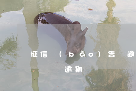 征信報(bào)告無逾期貸款(征信有借款記錄沒逾期)