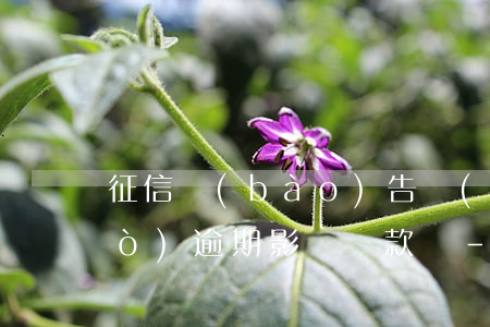 征信報(bào)告發(fā)生過(guò)逾期影響貸款嗎-征信報(bào)告發(fā)生過(guò)逾期影響貸款嗎怎么辦