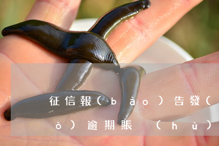征信報(bào)告發(fā)生過(guò)逾期賬戶(hù)數(shù)3個(gè)-征信報(bào)告發(fā)生過(guò)逾期賬戶(hù)數(shù)3個(gè),已經(jīng)還清了