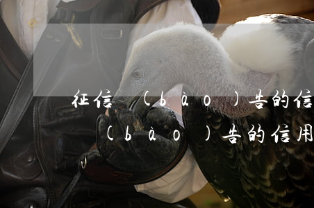 征信報(bào)告的信用卡逾期記錄(征信報(bào)告的信用卡逾期記錄如何)