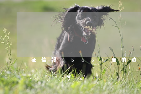 征信報(bào)告的逾期是什么標(biāo)志