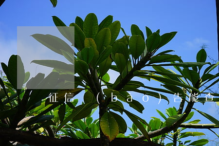 征信報(bào)告能查信用卡多久逾期記錄