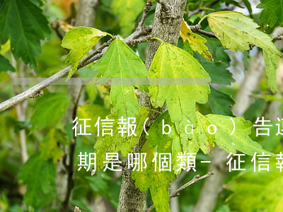 征信報(bào)告連續(xù)4個月逾期是哪個類-征信報(bào)告連續(xù)4個月逾期是哪個類型的