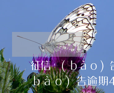 征信報(bào)告逾期15次-征信報(bào)告逾期4次