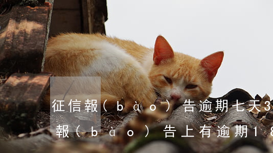 征信報(bào)告逾期七天300元(征信報(bào)告上有逾期180天以上)