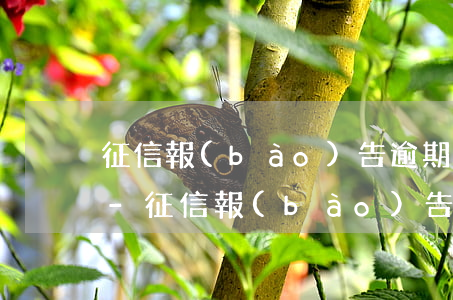 征信報(bào)告逾期了還款記錄怎么辦-征信報(bào)告逾期了還款記錄怎么辦呢