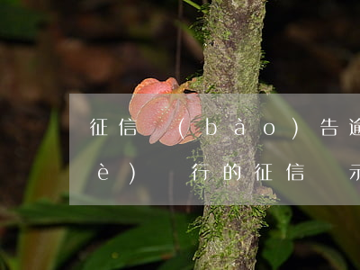 征信報(bào)告逾期怎么看是哪個(gè)銀行的(征信顯示逾期怎么查看是哪個(gè)銀行)