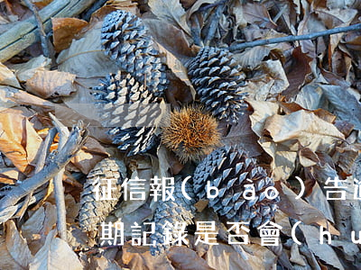 征信報(bào)告逾期記錄影響貸款嗎，逾期記錄是否會(huì)影響個(gè)人的貸款申請(qǐng)？——從征信報(bào)告看影響因素