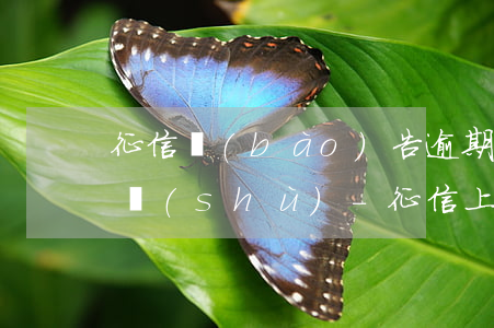 征信報(bào)告逾期透支信息匯總月份數(shù)-征信上逾期透支匯總表怎么看