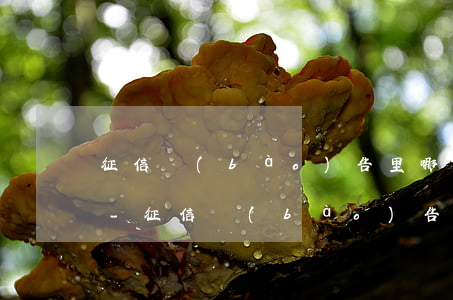征信報(bào)告里哪里找顯示逾期記錄-征信報(bào)告里哪里找顯示逾期記錄的