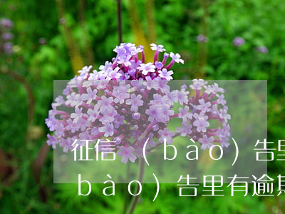 征信報(bào)告里有逾期還款(征信報(bào)告里有逾期還款)