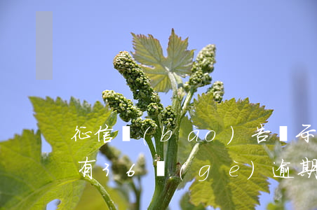 征信報(bào)告顯示5年內(nèi)有36個(gè)逾期