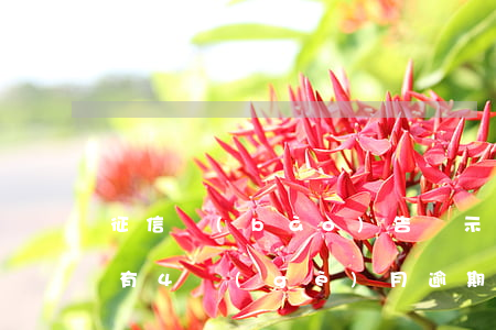 征信報(bào)告顯示五年內(nèi)有4個(gè)月逾期