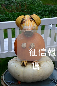 征信報告2次逾期(征信報告2次逾期能車貸嗎)