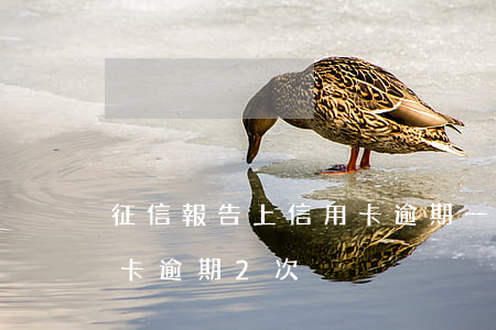 征信報告上信用卡逾期一次（征信網查出信用卡逾期2次）