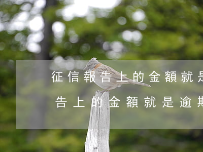 征信報告上的金額就是逾期金額嗎-征信報告上的金額就是逾期金額嗎