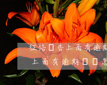 征信報告上面有逾期記錄怎么辦-征信報告上面有逾期記錄怎么辦呢