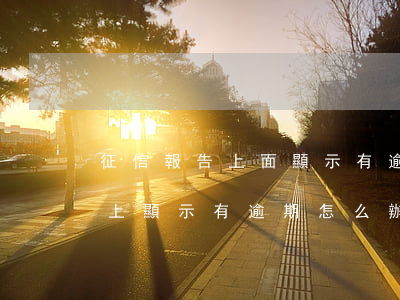征信報告上面顯示有逾期咋處理-征信報告上顯示有逾期怎么辦