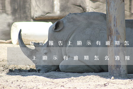 征信報告上顯示有逾期怎么消除-征信報告上顯示有逾期怎么消除記錄