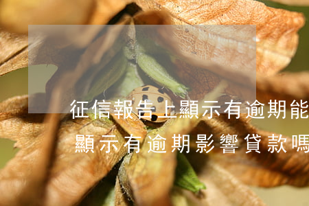 征信報告上顯示有逾期能否貸款-征信報告顯示有逾期影響貸款嗎