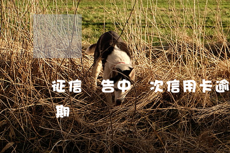 征信報告中兩次信用卡逾期(征信報告2次逾期)