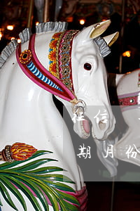 征信報告中逾期月份指的是什么-征信上逾期月份是什么意思
